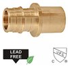 American Imaginations 0.5 in. x 0.5 in. Lead Free Brass Cold Expansion Sweat Adapter AI-35189